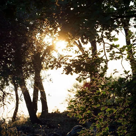 Podere Dell'etna Segreta - Essential Nature & Glamping
